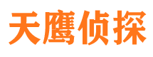 临潼市调查公司